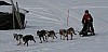IMG_6285.jpg