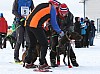 IMG_6287.jpg
