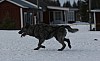 IMG_6293.jpg