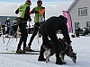 IMG_6295.jpg