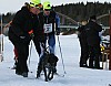 IMG_6300.jpg