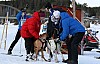 IMG_6301.jpg