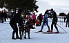 IMG_6304.jpg
