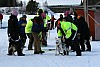 IMG_6306.jpg
