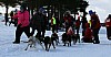IMG_6307.jpg