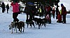 IMG_6308.jpg