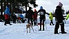 IMG_6309.jpg