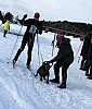 IMG_6311.jpg