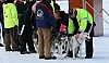 IMG_6313.jpg