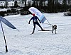 IMG_6317.jpg