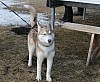 IMG_6321.jpg