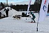 IMG_6325.jpg