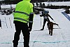 IMG_6327.jpg