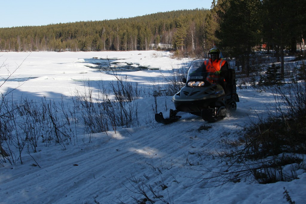 IMG_6348.jpg
