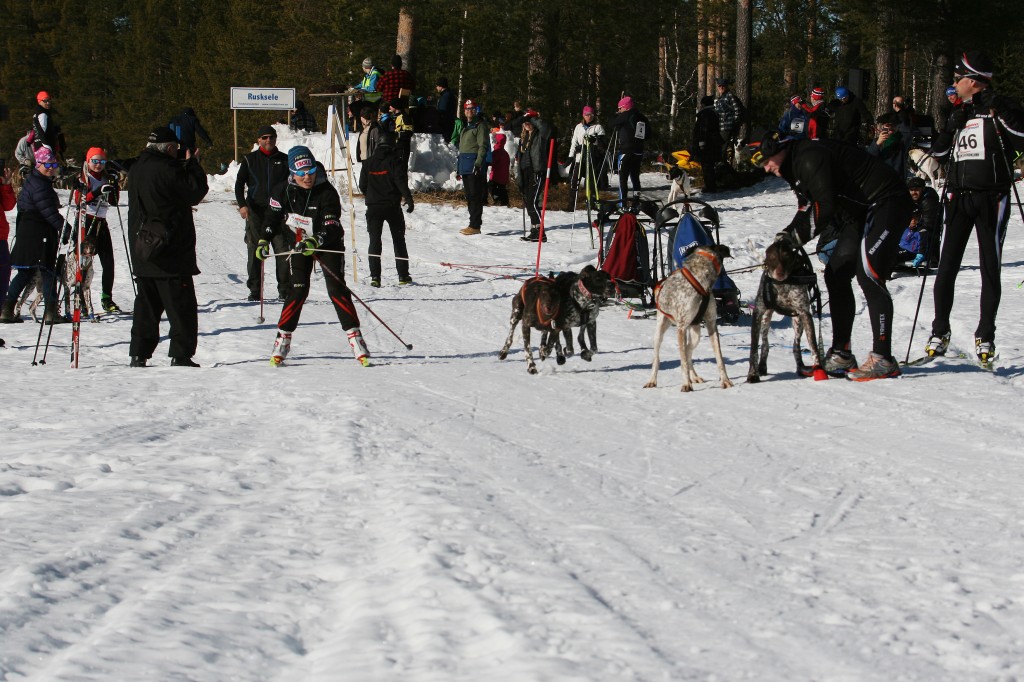 IMG_6373.jpg