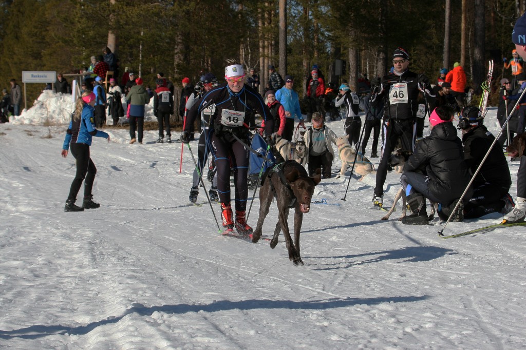 IMG_6377.jpg