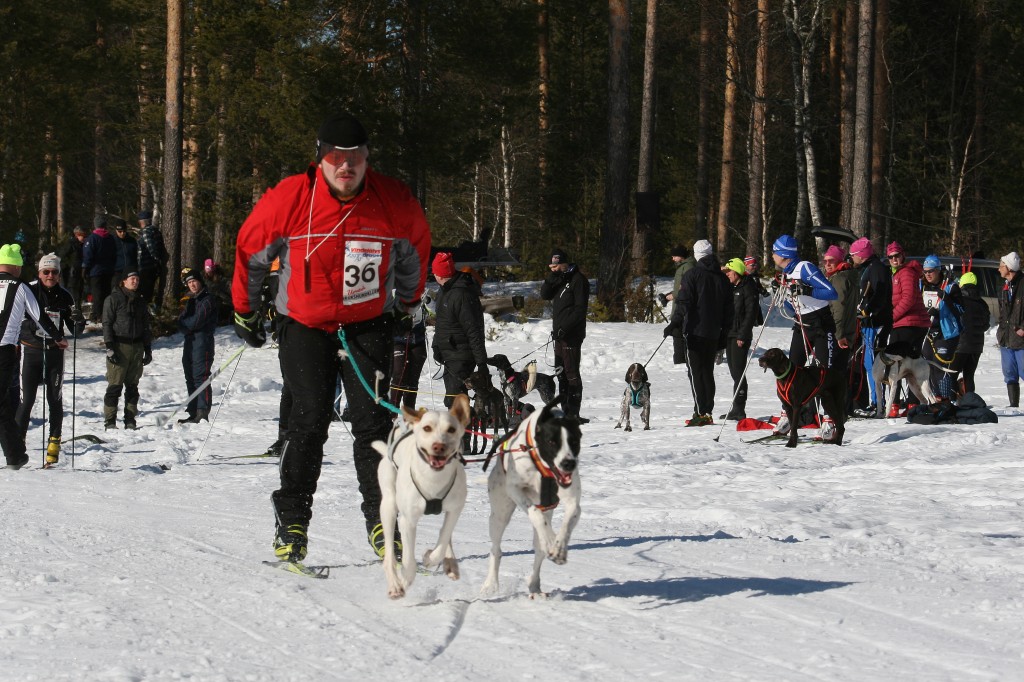 IMG_6387.jpg
