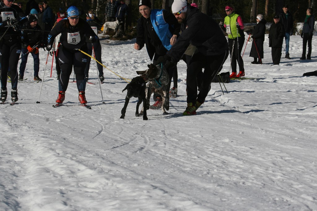 IMG_6395.jpg