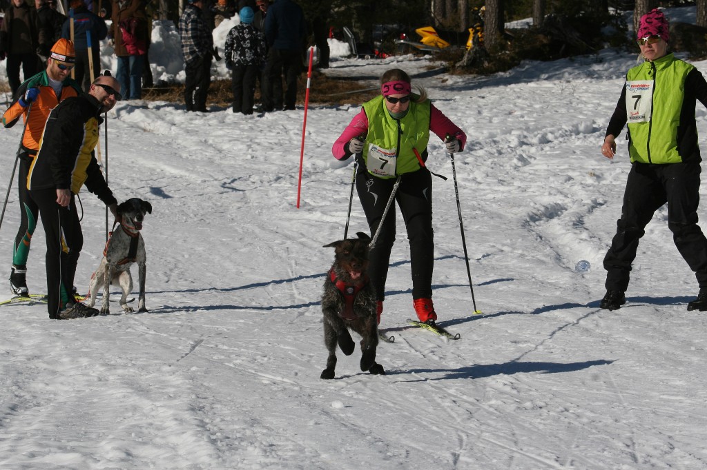 IMG_6398.jpg