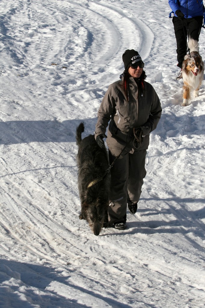 IMG_6451.jpg