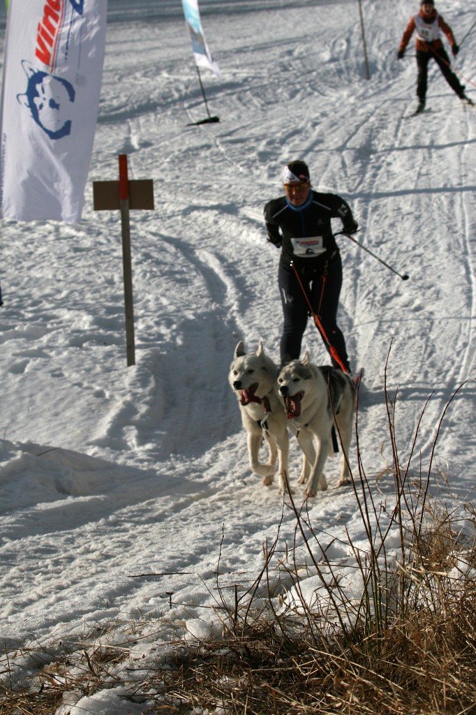 IMG_6477.jpg