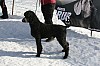 IMG_6330.jpg