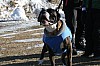 IMG_6334.jpg