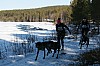 IMG_6340.jpg