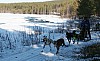 IMG_6351.jpg