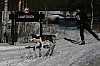 IMG_6368.jpg
