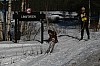 IMG_6369.jpg