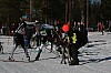 IMG_6375.jpg