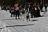 IMG_6376.jpg