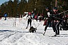 IMG_6378.jpg