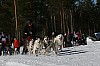 IMG_6382.jpg