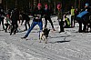 IMG_6393.jpg