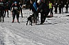 IMG_6395.jpg