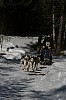 IMG_6411.jpg
