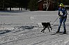 IMG_6433.jpg