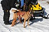 IMG_6435.jpg