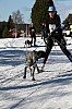 IMG_6442.jpg