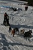 IMG_6449.jpg