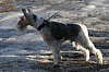 IMG_6453.jpg