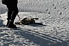 IMG_6458.jpg