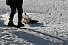 IMG_6459.jpg