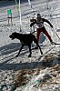 IMG_6468.jpg