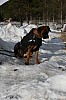 IMG_6488.jpg
