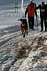 IMG_6489.jpg