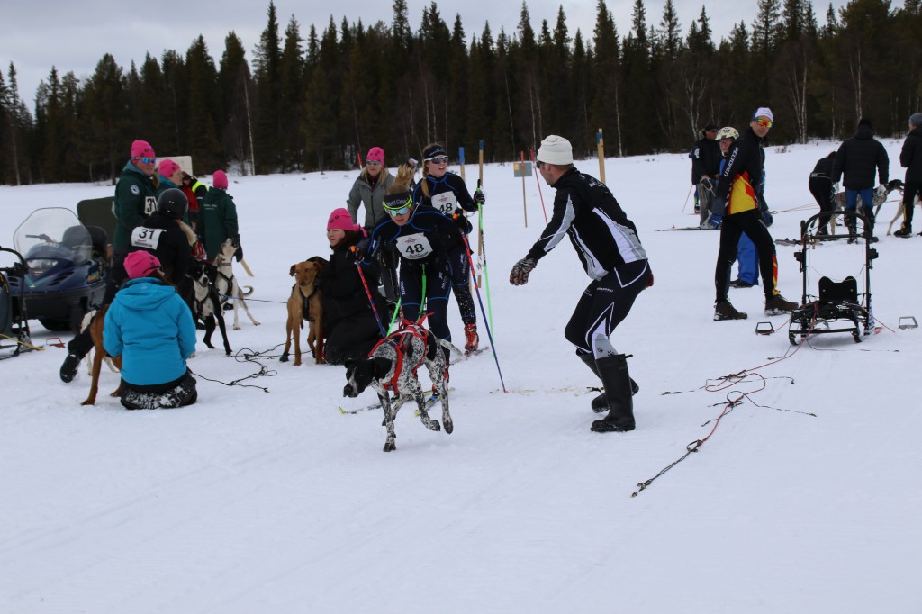 2017_3Y0A1063.jpg