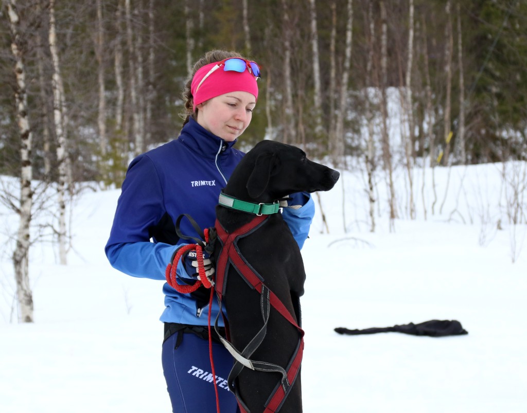 2017_3Y0A1215.jpg